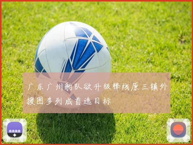 广东广州豹队欲升级锋线原三镇外援图多列成首选目标